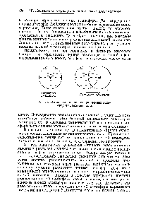 Рис. 38. Схема <a href="/info/609893">влияния релаксации ионных атмосфер</a> на движение иона.
