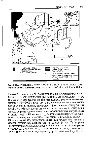 Рис. 3.25. Упрощенная <a href="/info/1330412">геологическая карта</a> бассейна Амазонки, на которой показаны <a href="/info/1891120">основные речные</a> системы. По Stallard Edmond (1983).