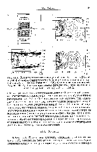 Рис. 13.8. <a href="/info/310806">Струйное пламя</a> метановоздушной смеси СН4-воздух [Nau et al., 1996] а) конфигурация пламени б) <a href="/info/1523286">экспериментально измеренная температура</a>, Ттах = 1600 к [Perrin et al., 1990] в) <a href="/info/1045612">модель разрушения вихрей</a>, Гтах = 1900 К г) комбинация модели <a href="/info/578180">функции плотности вероятности</a> и <a href="/info/120323">модели турбулентной</a> струи, Ттах = 1600 к