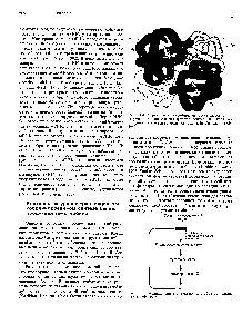 Рис. 14.5, Регуляция синтеза гема по <a href="/info/765312">типу обратной связи</a>. (По Harris, 1975.)