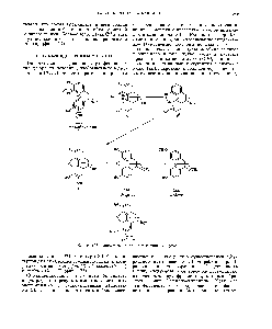 Фиг. 125. <a href="/info/208164">Биосинтез алкалоидов</a> группы морфина.