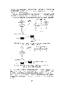 Рис. 21. <a href="/info/102842">Гипотетическая модель</a> <a href="/info/103161">репрессии синтеза</a> белков под действием гормоиов