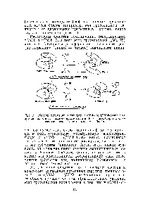 Рис. 75. <a href="/info/1403072">Модели регуляции</a> активности цАМФ- и цГМФ-зависнмых <a href="/info/1435711">протеинкиназ циклическими</a> нуклеотидами Р — регуляторный, С — каталитический участок молекулы белка