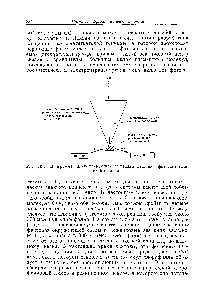 Рис. 10.5. Диаграмма, иллюстрирующая <a href="/info/3768">механизм действия</a> фотосинтетической единицы.