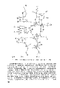 Рис. 23.4.3. Комплекс <a href="/info/97013">актиномицина</a> с дезоксигуанозином 151].