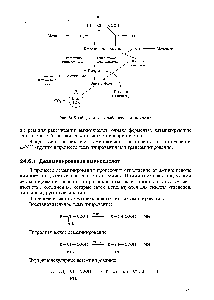 Рис. 24.5. <a href="/info/1572394">Общая схема</a> катаболизма аминокислот