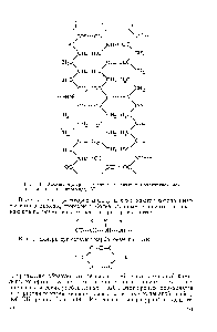 Рис. 5.13. <a href="/info/487342">Межмолекулярные водородные связи</a> в моноклинной модификации поликапроамида [671].
