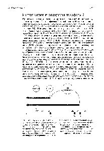 Рис. 14.13. <a href="/info/1899047">Транскрипция области</a> int-xis генома фага X контролируется двумя <a href="/info/355021">различными промоторами</a>. При лизогенизации образуется только интеграза, необходимая для встраивания фаговой ДНК в хромосому Е. соН. При этом белок с сП <a href="/info/1435529">активирует транскрипцию</a> гена int с