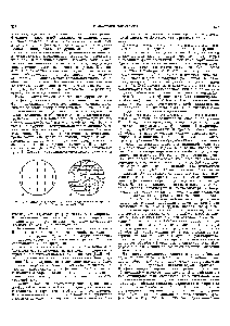 Рис. 1. Схематичное изображение гелевидной (а) и макропористой (б) ионообменных смол.
