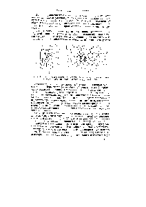 Рис. VI.3. Схема рентгеносъемки но методу ращения [а) и рентгенограмма вращения <a href="/info/471484">монокристалла кварца</a> вокруг осп с (б).