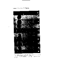 Рис. 4, Рентгенограммы образцов железа, науглероженных прн 500° С до <a href="/info/201414">различного содержания</a> углерода 
