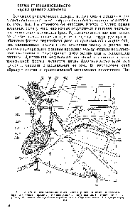 Рис. 18. <a href="/info/1902838">Схема генерализованного аксиллярного аппарата</a> насекомых.