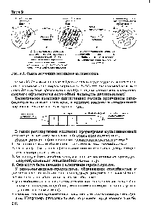 Рис. 9.1. <a href="/info/25482">Схема регуляции</a> биосинтеза антибиотиков