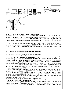 Рис. 18.1. Объединение диализатора, ферментного реактора и <a href="/info/1791958">электрохимического датчика</a> в ферментных электродах.