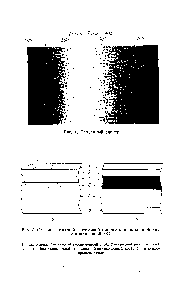 Рис. 4. Строение <a href="/info/1868059">цветной негативной пленки</a> непроявленной (а) и проявленной (б)