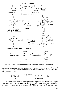 Рис. 12.6. <a href="/info/1321374">Механизм действия пиридоксальфосфата</a> как кофермента трансаминаз