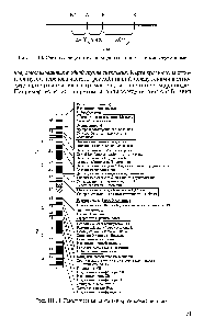 Рис. III. 11 <a href="/info/98321">Генетическая карта</a> 1-й хромосомы человека