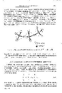 Рис. 8.16. <a href="/info/2548">Кристаллическая структура</a> кварца 5102. [/ (81 — О) 1,61А].