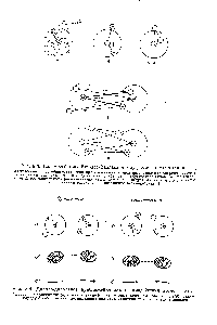 Рис. 8.3. Взаимодействия Ван-дер-Ваальса между двумя атомами гелия. <a href="/info/1788941">Химическая связь образуется</a>, если при сближении атомов <a href="/info/953793">потенциальная энергия системы</a> уменьшается (см. разд. 3.2). В <a href="/info/116938">жидком гелии</a> <a href="/info/7619">слабая связь</a> обусловлена <a href="/info/311952">силами притяжения</a>, которые отвечают такому расположению, как в случае г. (Следует отметить, что в случаях г и д <a href="/info/1728206">показаны только</a> вновь возникшие взаимодействия.)