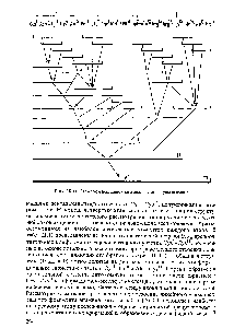 Рис. III. 11. Схема <a href="/info/25169">конформационного анализа</a> молекулы апамина