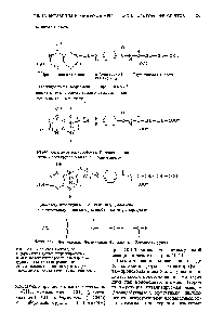 Рис. 10-12. <a href="/info/1374">Фолиевая кислота</a>, ее <a href="/info/1532201">коферментная форма</a> тетрагидрофолат и метилентетрагидрофолат. Меткленовая группа-одна из <a href="/info/671064">пяти различных</a> <a href="/info/187235">одноуглеродных групп</a>, которые могут <a href="/info/1488769">переноситься посредством</a> тетрагидрофолата.