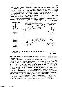 Рис. 1.6. Различные <a href="/info/196654">конформации цепей</a> диизотактического полимера.