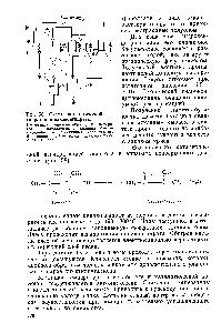 Рис. 58 <a href="/info/750753">Схема каталитической</a> дегидратации пинаконгидрата 