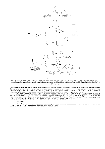 Рис. 7-75. Белки, синтезируемые в цитозоле и переносимые затем в митохондрию, не только <a href="/info/1462466">составляют основную</a> часть всех белков органеллы, но и играют <a href="/info/1600003">важную роль</a> в <a href="/info/1350647">митохондриальной системе</a> <a href="/info/91070">белкового синтеза</a>. Из компонентов <a href="/info/970271">этой системы</a> сама митохондрия синтезирует только мРНК,