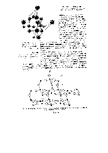 Рис. 6.14. Структура оксида кремния (IV), в которой — атом 81 связан с четырьмя атомами О,