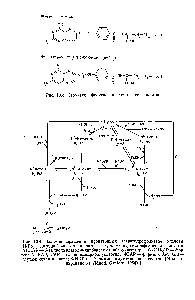 Рис. 13.3. Структура фолиевой кислоты и ее аналогов.