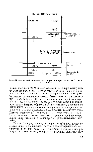 Рис. 3.8. <a href="/info/72524">Схема двойного</a> <a href="/info/392951">механизма горения</a> натрия (в паровой и жидкой фазах)