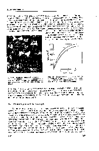 Рис. 24. Явления полевой рекристаллизации, возникающие при выращивании пленки ТзгО, <a href="/info/862455">способом анодирования</a> ори <a href="/info/1875067">действии сильных электрических</a> полей.