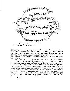Рис. 78. <a href="/info/109372">Структура рибонуклеазы</a> ( —места дисульфидных мостиков).