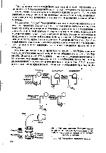 Рис. 5.8. Схема бактериального мотора.