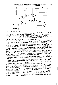 Рис. 11-29. <a href="/info/309922">Установка каталитического крекинга</a> со спрямленным лифт-реактором