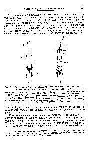 Рис. 9.1. Схематический разрез устройства для <a href="/info/809610">приготовления электродов</a> из порошков гидростатическим прессованием (Соха, 1965).