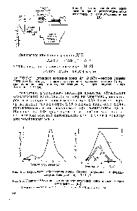Рис. 2.1. Схема двойного масс-спектрометра с <a href="/info/1610624">регистрацией положительных</a> и отрицательных ионов [3].