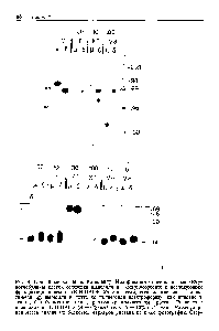 Рис. 4. <a href="/info/101227">Пептидные карты</a> по Кливленду. Иодированные <a href="/info/1406578">поверхностные иммуноглобулины</a> клеток селезенки выделяли иа иммуиосорбенте с последующим фракционированием в ДСН-ПАГЭ. Участки геля, содержащие мю- и дельта-цепи 12, вырезали и повторно подвергали электрофорезу, как описано в тексте, без ферментов или с различным количеством протеаз. Разделение проводили в ДСН-ПАГЭ (Л — 8%-ный гель, Б—18%-иый гель). <a href="/info/532">Молекулярная масса</a> различных белковых маркеров указана по краю фотографии. Свер-
