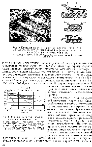 Рис. 4. Фазовая диаграмма состоянии <a href="/info/478932">оловянно</a>-свинцового сплава 