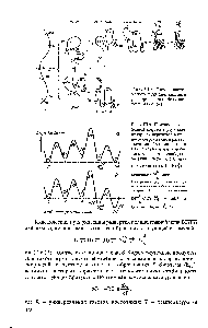 Рис. III.9. <a href="/info/12282">Изменение свободной энергии</a> внутримолекулярных переходов в <a href="/info/168859">процессе свертывания</a> и развертывания <a href="/info/196653">белковой цепи</a> БПТИ (приведены относительные <a href="/info/902761">значения свободной энергии</a> исходного (D), промежуточных (I, II, Nsh) и S