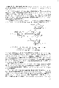 Рис. 98. Схема трансглюкозильных реакций, приводящих к <a href="/info/1823689">различным изомерам</a> сахарозы 