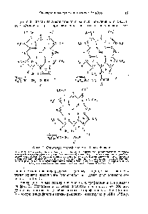 Фиг. 2. <a href="/info/711577">Структура хлорофилла</a> а по Гансу Фишеру.