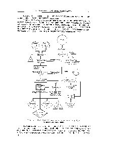 Рис. 139. <a href="/info/718732">Схема процессов окисления</a> парафина и <a href="/info/199621">переработки продуктов</a> окисления.