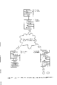 Рис. 12.7. Простая <a href="/info/1436241">многослойная модель</a> организации сети открытых систем.