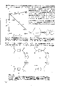 Рис. 9.5. <a href="/info/826486">Линейная модель</a> <a href="/info/400548">комплекса иона гидроксила</a> с пара-замещенным <a href="/info/27994">этилбензоатом</a> (расстояния в A).
