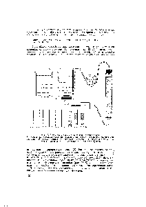 Рис. 12. <a href="/info/329541">Схема устройства</a> для колоночной хроматографии.