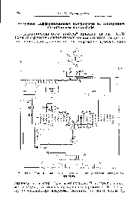 Рис. XI.31. <a href="/info/1816717">Принципиальная схема автоматического</a> дифференцирующего полярографа.