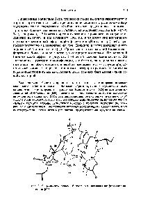 Рис. 2-35. Предположительная биологически активная конформация окситоцина [625].