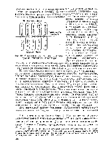 Рис. 58. <a href="/info/3801">Ориентация молекул</a> мыла (эмульгатора) на поверхности раздела фаз