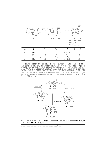 Рис. 2. Конформации, <a href="/info/759191">разности энергий</a> и динольные моменты (6-310 ) 2-метил-5-(2,2-ди-циано- 1 -метилтио)винилииррола